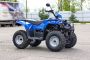 Квадроцикл IRBIS ATV 200 ПТС
