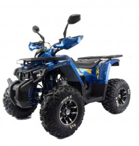  Квадроцикл 125 Wild X Pro фото в интернет-магазине КАСКАД