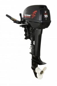  Лодочный мотор Golfstream T 9,9 BMS USB !!! фото в интернет-магазине КАСКАД