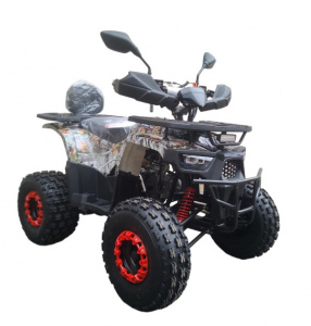  Квадроцикл Wels Thunder AX 125 Pro фото в интернет-магазине КАСКАД