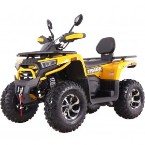  Квадроцикл 250 Wild Track X PLUS фото в интернет-магазине КАСКАД