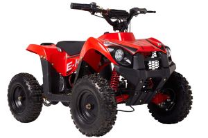  Квадроцикл Wels Thunder E-king фото в интернет-магазине КАСКАД