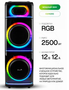  Колонка 12" (20-21 DIAMOND BOX 2500)  динамик 2шт/12" ElTRONIC с TWS фото в интернет-магазине КАСКАД