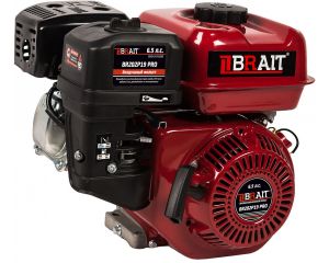  Двигатель BRAIT BR202P19 PRO фото в интернет-магазине КАСКАД