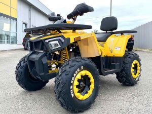  Квадроцикл 200 Wild Track X фото в интернет-магазине КАСКАД