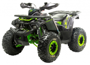  Квадроцикл 125 Wild X фото в интернет-магазине КАСКАД