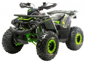  Квадроцикл 125 Wild X фото в интернет-магазине КАСКАД