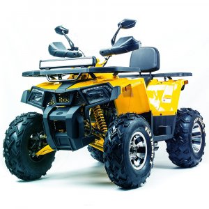  Квадроцикл 200 Wild Track X Pro фото в интернет-магазине КАСКАД