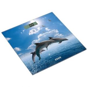  Весы Eden EDC-9370 фото в интернет-магазине КАСКАД
