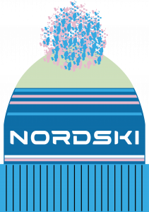  Шапка NordSki Srtipe breeze 2019 (C3) фото в интернет-магазине КАСКАД