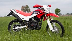  Мотоцикл Irbis TTR 250R фото в интернет-магазине КАСКАД