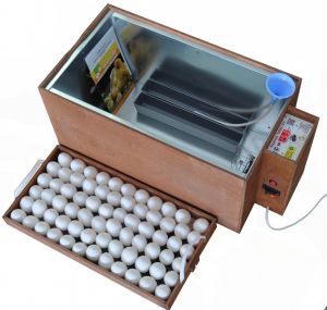 Инкубатор Блиц -72 Ц фото в интернет-магазине КАСКАД