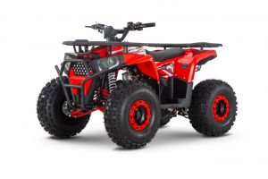  Квадроцикл Wels Thunder Trail 125 фото в интернет-магазине КАСКАД