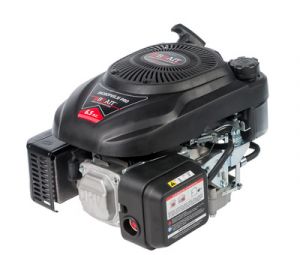  Двигатель Brait BR202PV (L3) PRO вертикальный вал фото в интернет-магазине КАСКАД