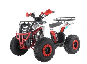  Квадроцикл Wels Thunder Evo 125 фото в интернет-магазине КАСКАД