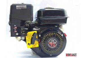  Двигатель BRAIT BR220P20 фото в интернет-магазине КАСКАД