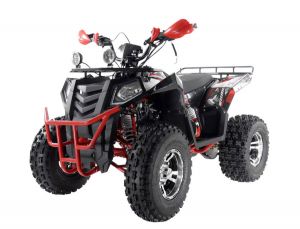  Квадроцикл Wels Thunder Evo 200 фото в интернет-магазине КАСКАД