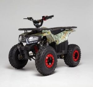  Квадроцикл Wels Thunder E2  125 фото в интернет-магазине КАСКАД