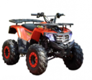  Квадроцикл Wels Thunder AX 125 фото в интернет-магазине КАСКАД