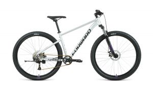Велосипед 29" Forward Sporting XX Disk 2021-2022