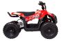 Квадроцикл Wels Thunder E-king
