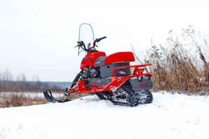 Снегоход Dingo Т200