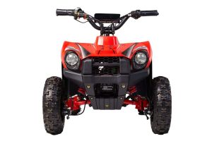 Квадроцикл Wels Thunder E-king
