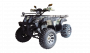 Квадроцикл Thunder 200 LUX