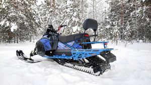 Снегоход Irbis Tungus SK500L