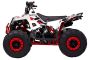 Квадроцикл Wels Evo M 110