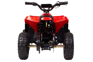 Квадроцикл Wels Thunder E-king