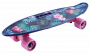 Доска роликовая TT Fishboard 23 print(TLS-409 mini)