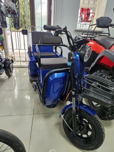 Электроскутер С8 Plus1000 Вт