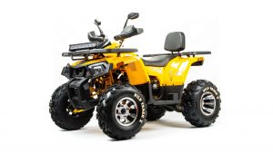 Квадроцикл 200 Wild Track X Pro