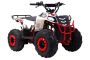 Квадроцикл Wels Evo M 110