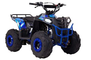 Квадроцикл Wels Evo M 110