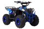 Квадроцикл Wels Evo M 110