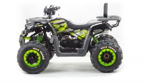 Квадроцикл 200 Wild Track
