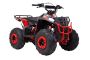 Квадроцикл Wels Evo M 110