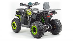 Квадроцикл 200 Wild Track
