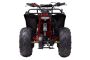 Квадроцикл Wels Evo M 110