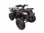 Квадроцикл Thunder 200 HS