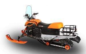 Снегоход Dingo Т150 