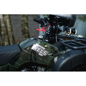 Квадроцикл Thunder 200 LUX