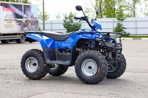 Квадроцикл IRBIS ATV 200 ПТС