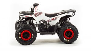 Квадроцикл 125 Wild