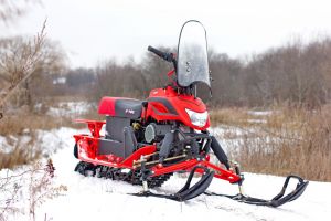 Снегоход Dingo Т200